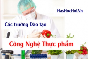 Các trường đào tạo ngành Công nghệ thực phẩm ở Tp.Hồ Chí Minh, Hà Nội và các Tỉnh